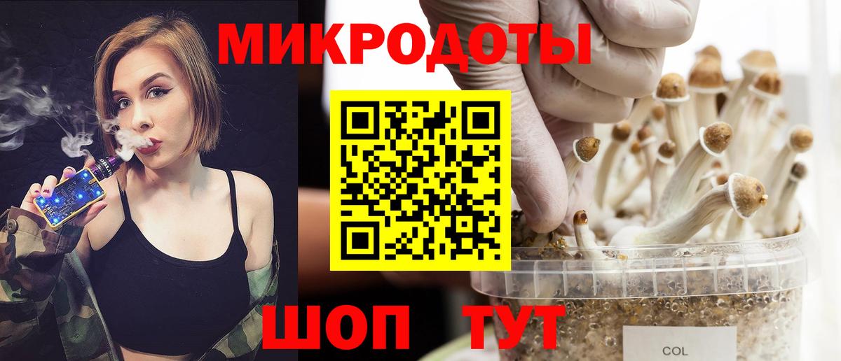 Галлюциногенные грибы GOLDEN TEACHER  Псилоцибиновые грибы мухоморы  Кингисепп  Вход с VPN 